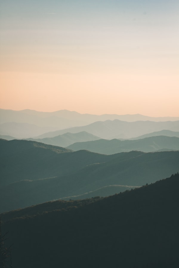 Wallpaper Content